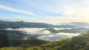 Nature home stay